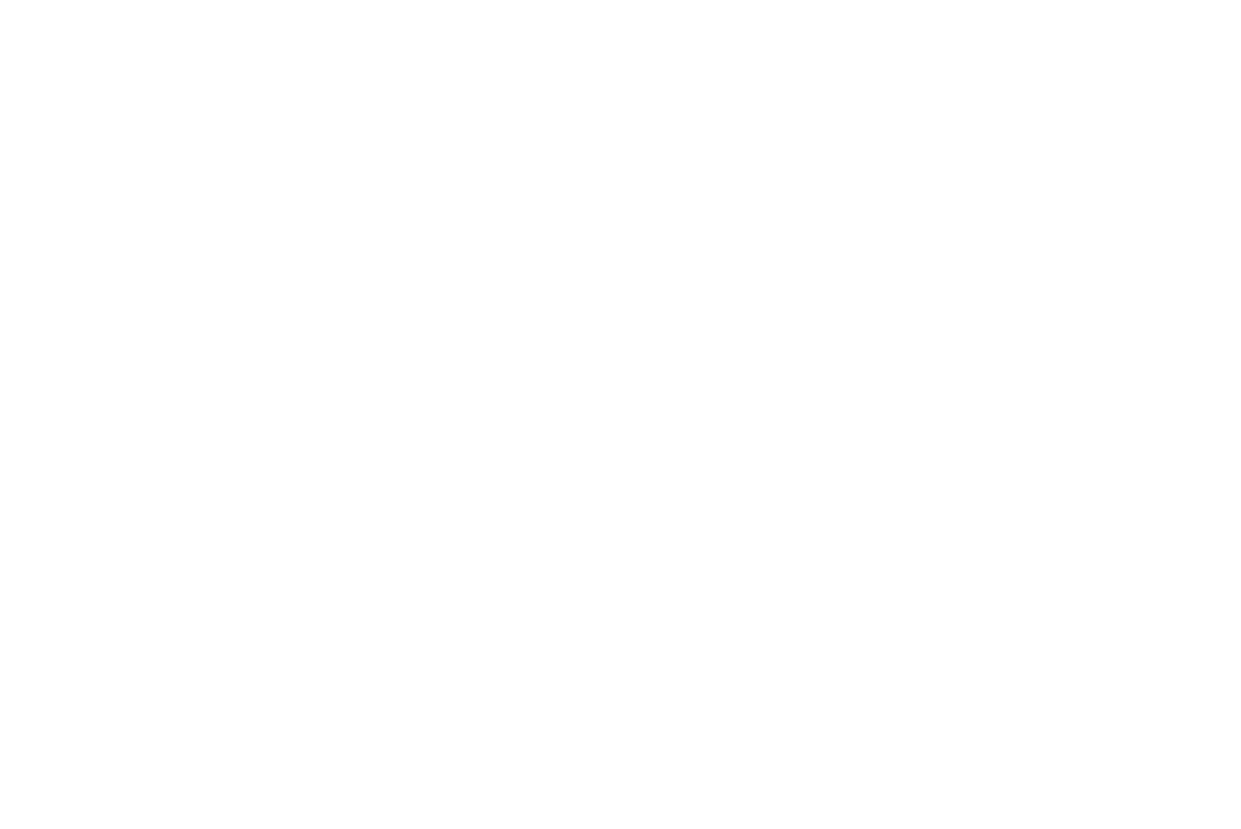NamViet Group